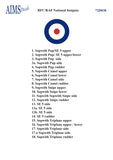 72D038 RFC/RAF Roundels 1/72 by AIMS