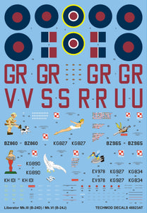 48823 B-24 Liberator 'Special Duties Flight' 1/48 by TECHMOD