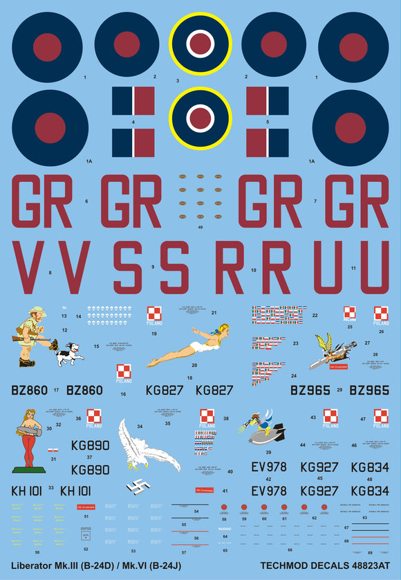 48823 B-24 Liberator 'Special Duties Flight' 1/48 by TECHMOD
