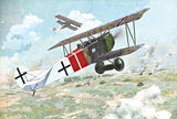 424 FOKKER D.VII (Alb, late) 1/48 by RODEN