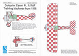 BR-516 Colourful Camel Pt. 1: RAF Training Machines from 1918 1/48 by BLUE RIDER