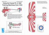 BR-517 Colourful Camel Pt. 2: RAF Training Machines from 1918 1/48 by BLUE RIDER