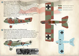 72-251 LFG Roland C.II/C.IIa 'Walfisch' 1/72 by PRINT SCALE DECALS